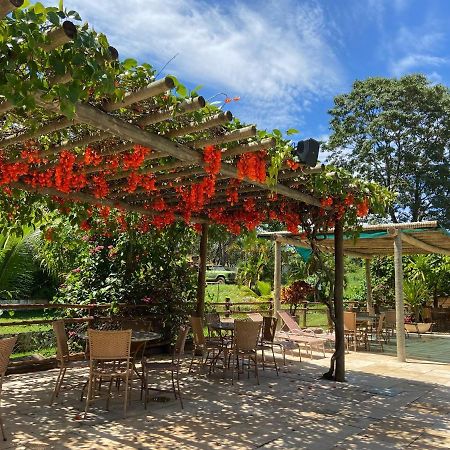 Apartamento Thermas Do Bosque กัลดัสโนวัส ภายนอก รูปภาพ